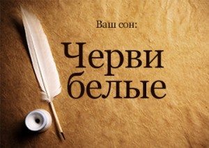 пижма от паразитов форум пижма от паразитов форум
