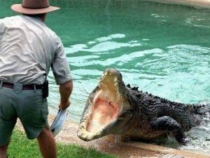 нападение крокодила