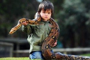 ребенок и змея