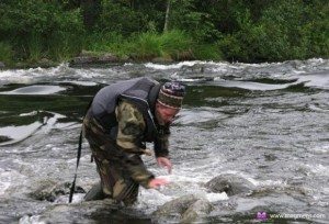 ловить рыбу руками