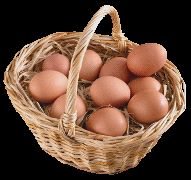 корзина яиц