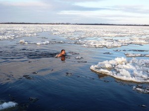 плавать среди льдин