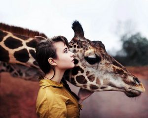 девушка с жирафом