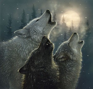 волки воют