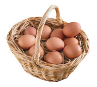 Собрать много яичек