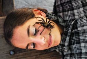 К чему снится паук во рту