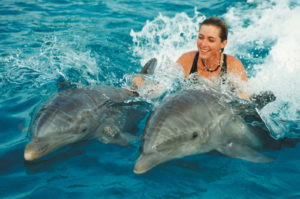 С дельфинами