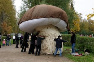 Огромный грибочек
